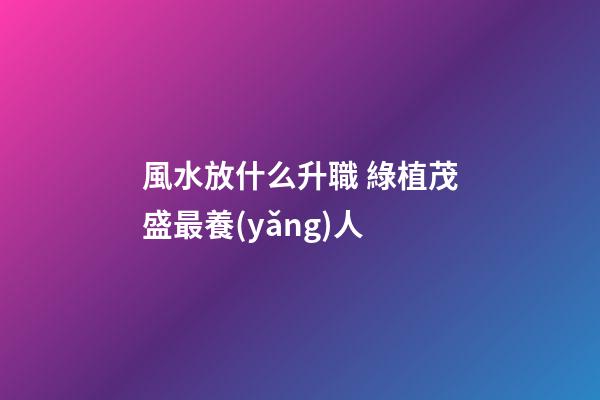 風水放什么升職 綠植茂盛最養(yǎng)人